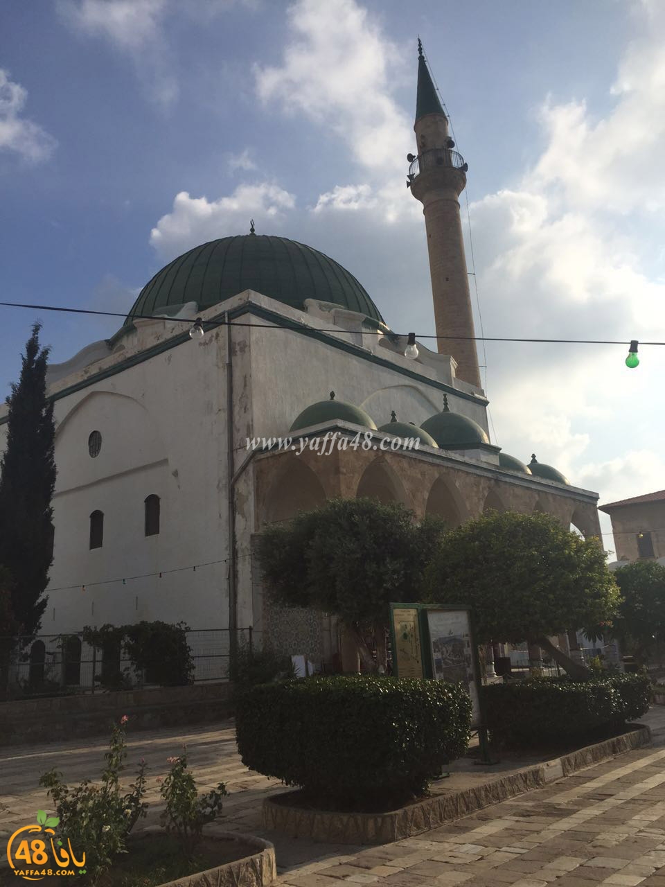 wafasd jazar yaffa (8).jpg